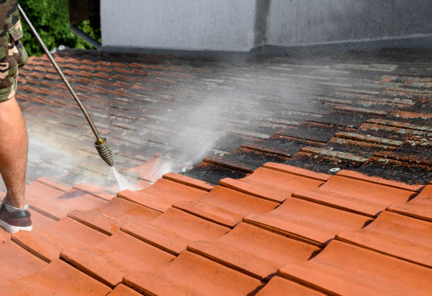 Trusted Zolfo Springs, FL Pressure Washing Experts